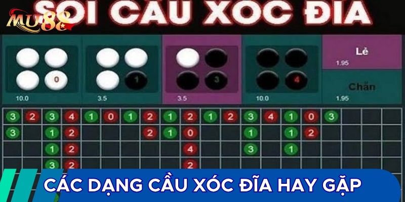 Các dạng cầu xóc đĩa hay gặp