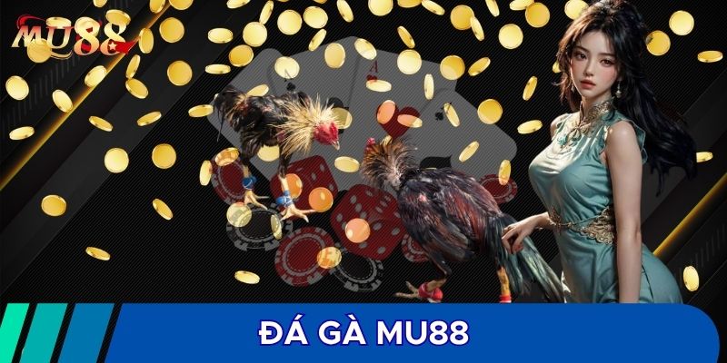 Đá gà MU88 cung cấp hệ thống cược đầy đủ