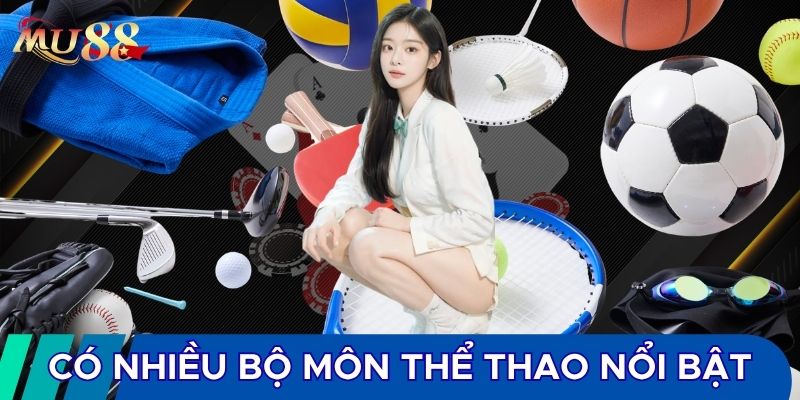 Có nhiều bộ môn thể thao nổi bật