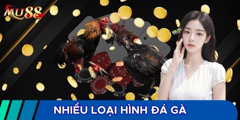 Nhiều loại hình đá gà